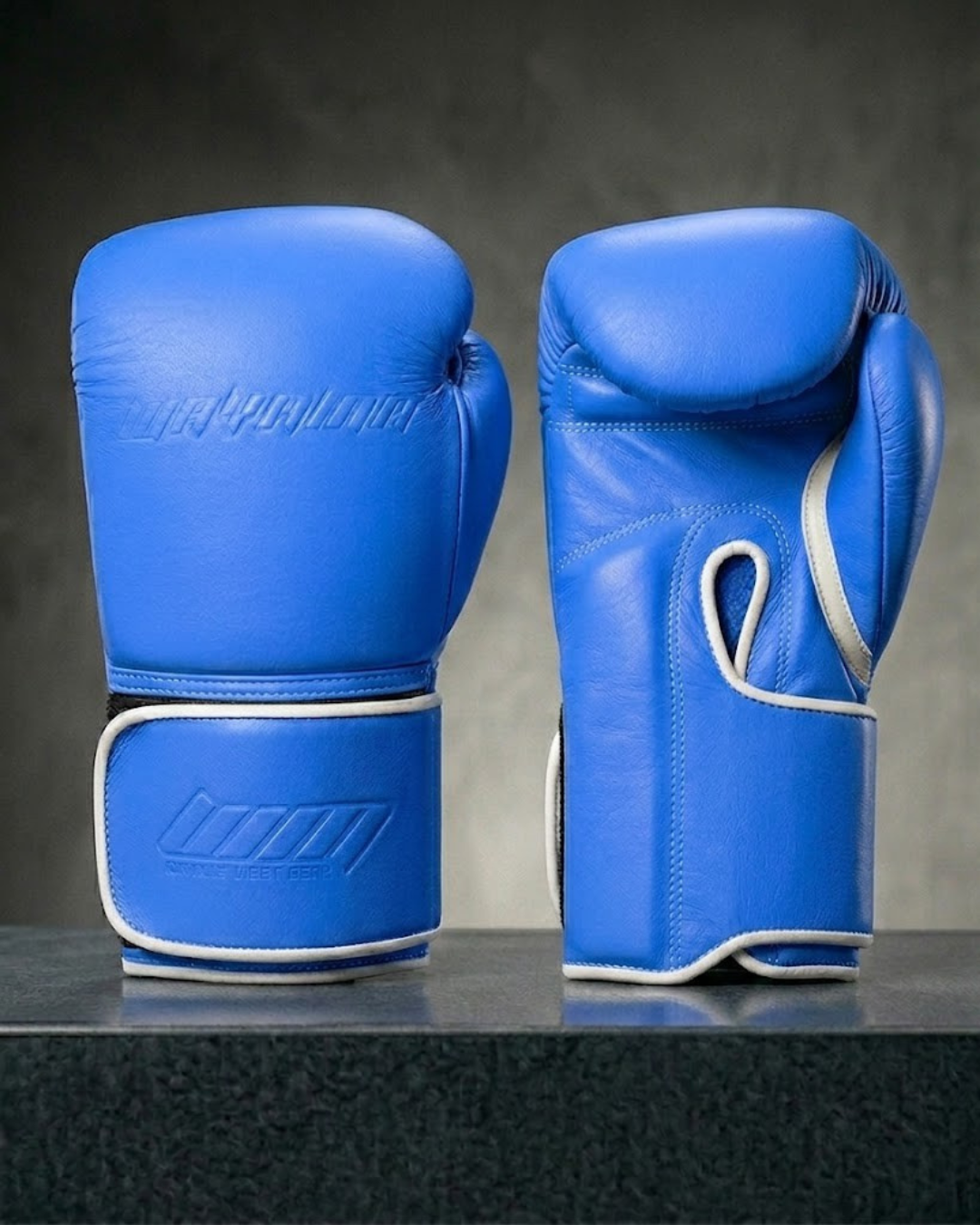 Wayama boxing gloves Navy Blue