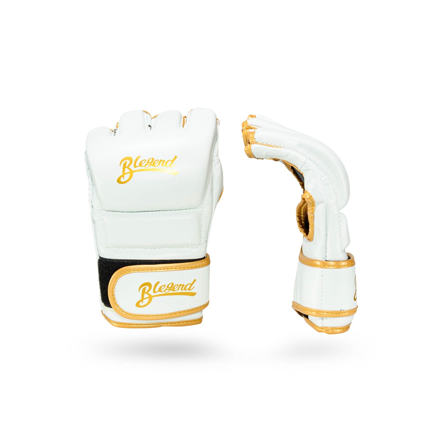 Blegend MMA Fight gloves