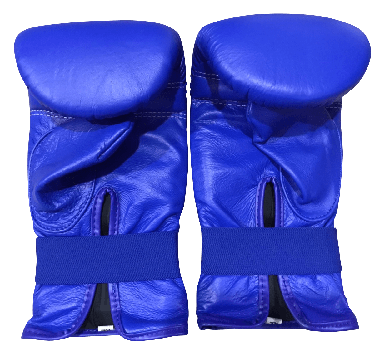 Twins Special Boxing Bag Gloves TBGL1F Blue - SUPER EXPORT SHOP